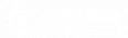 synottip logo